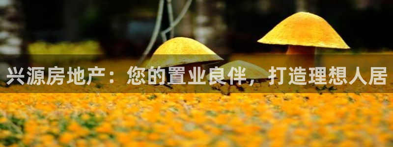 万向娱乐官网下载安装最新版