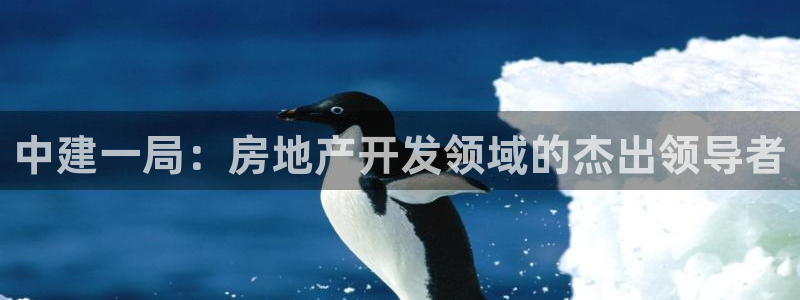 万向娱乐登陆官网入口