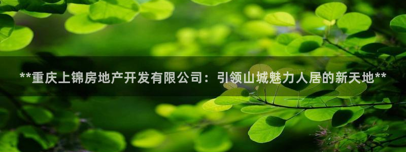 万向娱乐技术