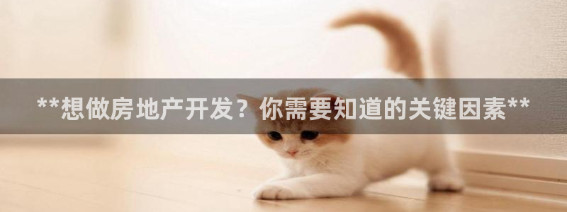 万向娱乐网址是什么