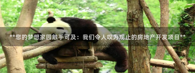 万向娱乐公司官网电话