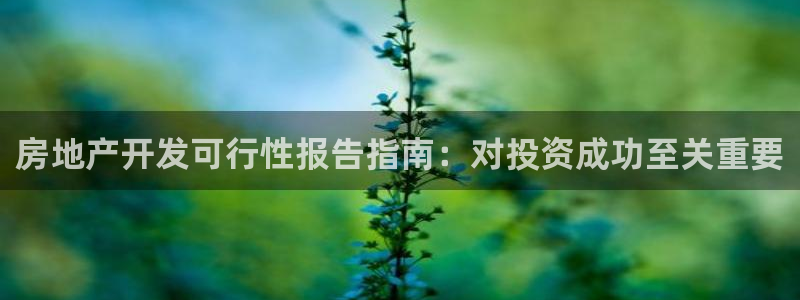 万向娱乐平台代理怎么样赚钱