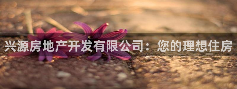 万向娱乐app