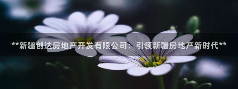 万向娱乐平台代理多少钱一年