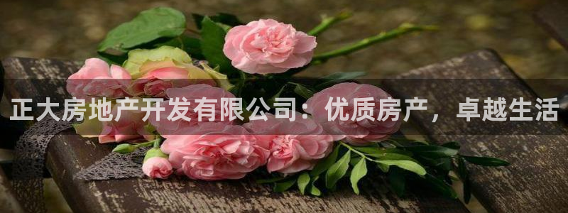 万向娱乐是野鸡台吗