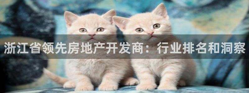 万向娱乐代理好看视频