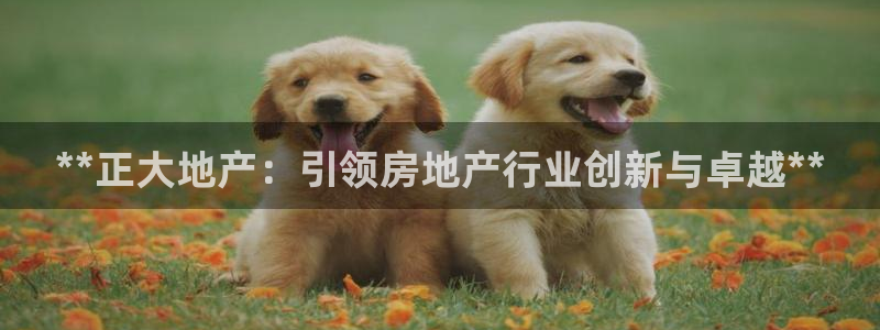 万象国际娱乐网址
