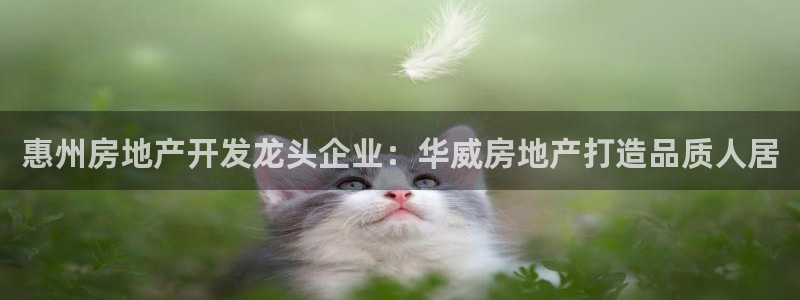 万向娱乐官网下载安装