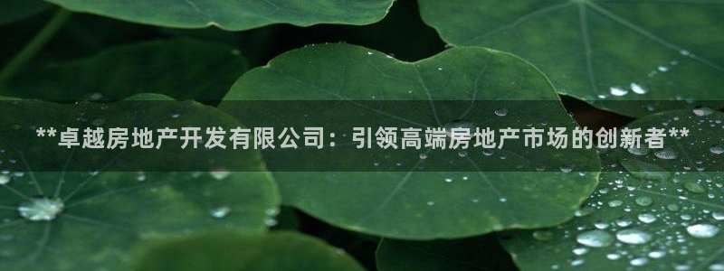 万向娱乐老板