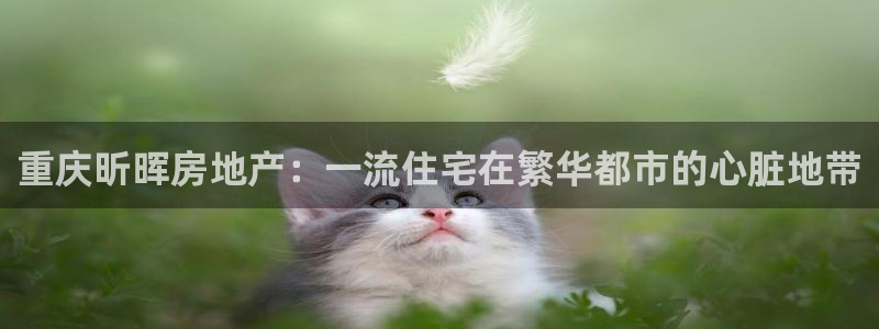 万向娱乐