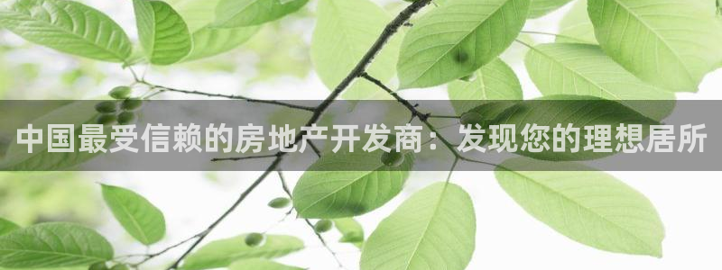 万向娱乐平台代理多少钱一个月