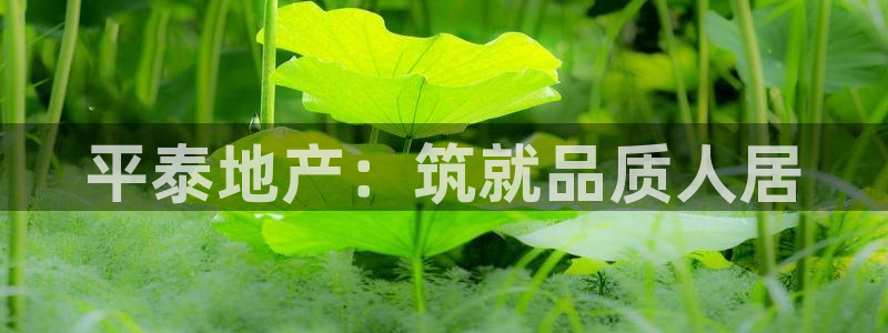 万向娱乐官网网址是多少