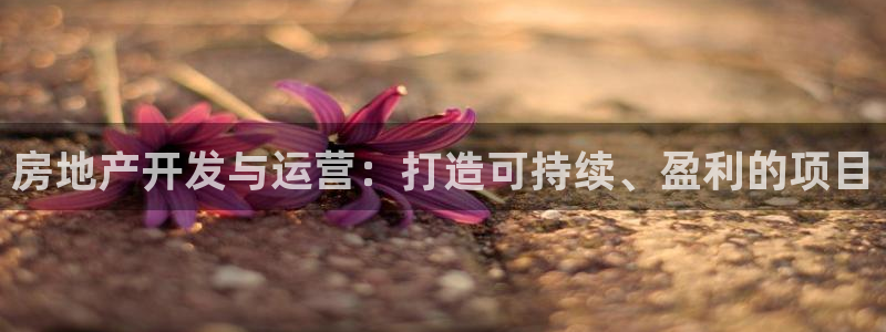 万向娱乐代理好看视频是真的吗