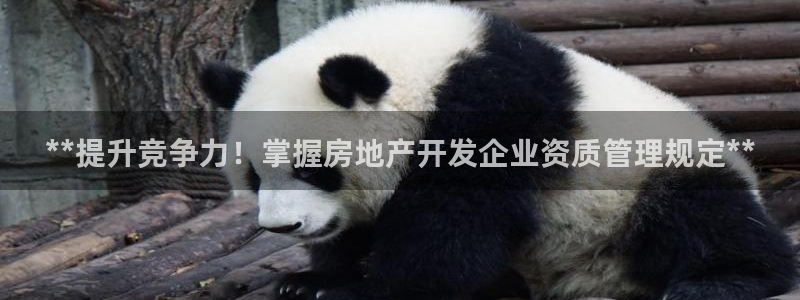 万向娱乐是哪个旗下
