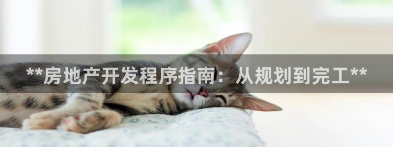 万向娱乐挂机软件