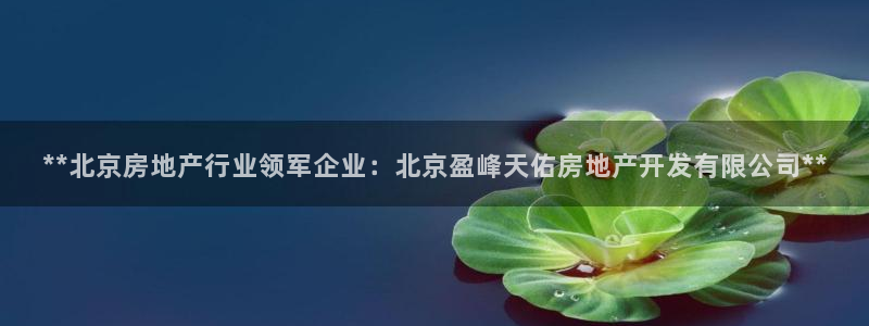 万向娱乐平台代理多少钱一个月