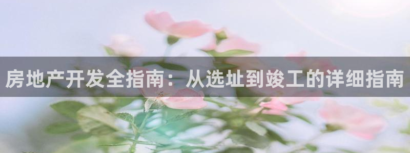 万向娱乐的494o3 主管