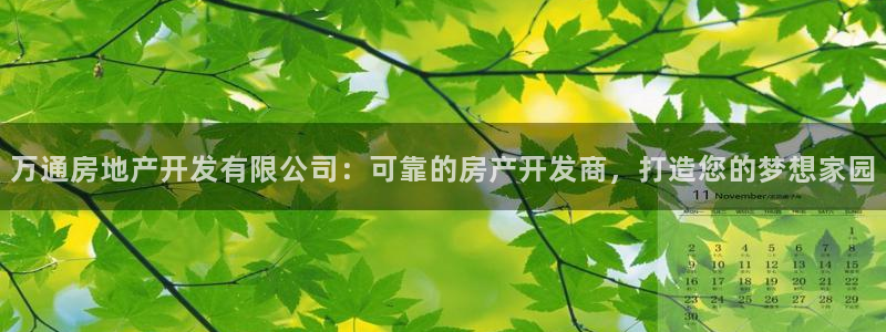 万向娱乐app下载官网