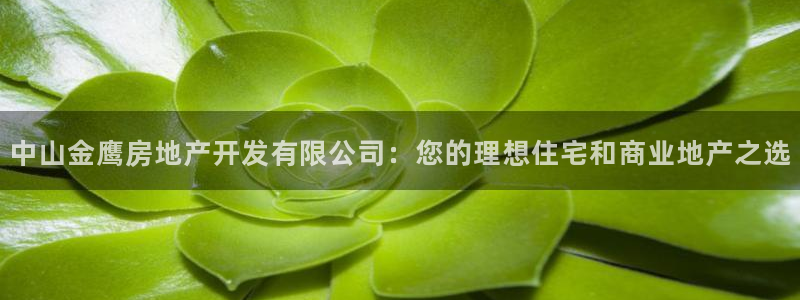 万能娱乐代理网址