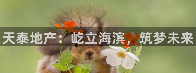 万向娱乐的联系方式
