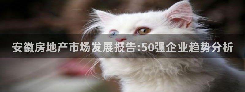 万向娱乐平台好不