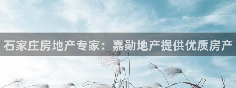 万象国际娱乐网址