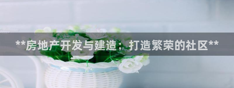 万向娱乐老板