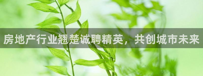 万向娱乐平台招商骗局
