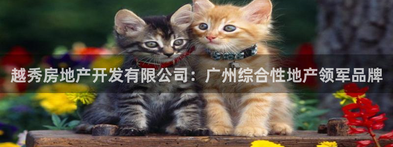万向娱乐公司官网电话
