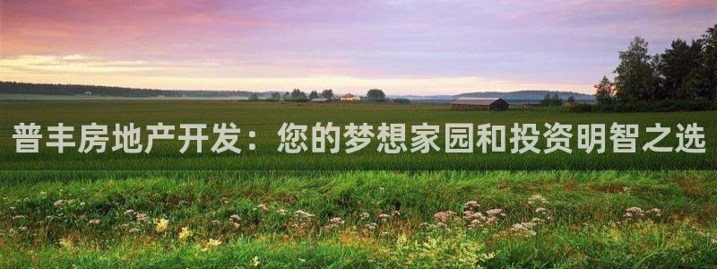 万向娱乐挂机