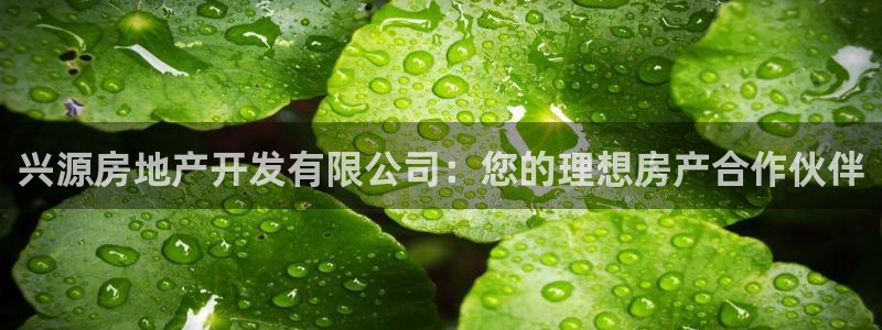 万向娱乐官网下载安装