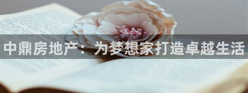 万向娱乐平台代理怎么做的