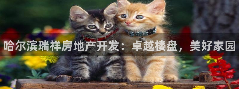万向娱乐app下载