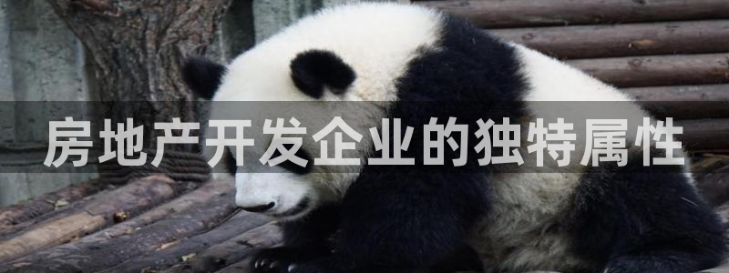 万向娱乐的494o3 主管