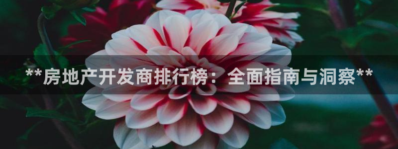万向娱乐app下载官网