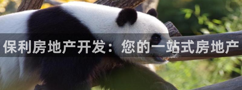 万向娱乐技术