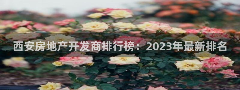 万向娱乐官网下载安装手机版