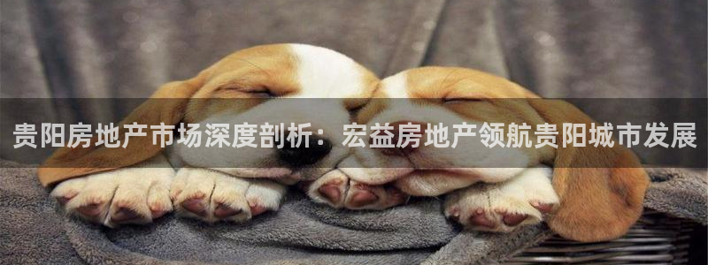万向娱乐官网下载安卓