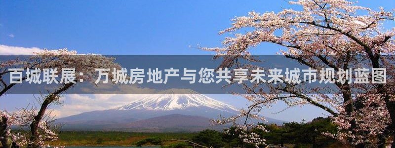 万向娱乐是野鸡台吗