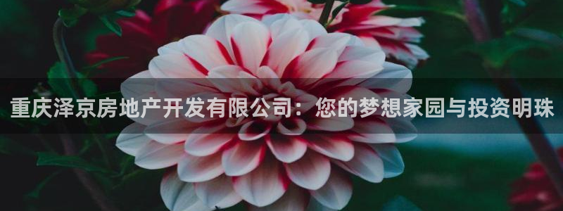 万向娱乐老板