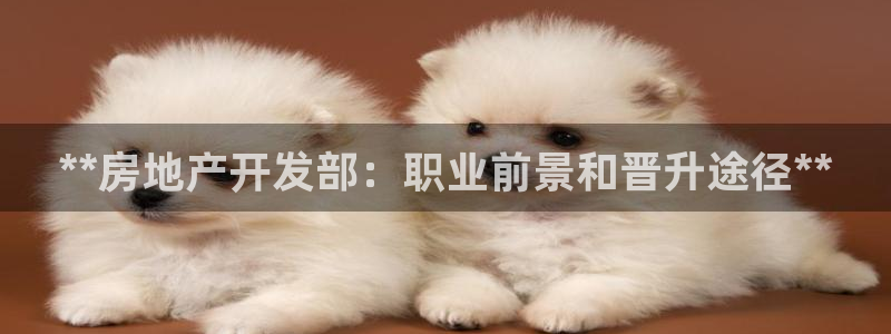 万向娱乐代理好看视频
