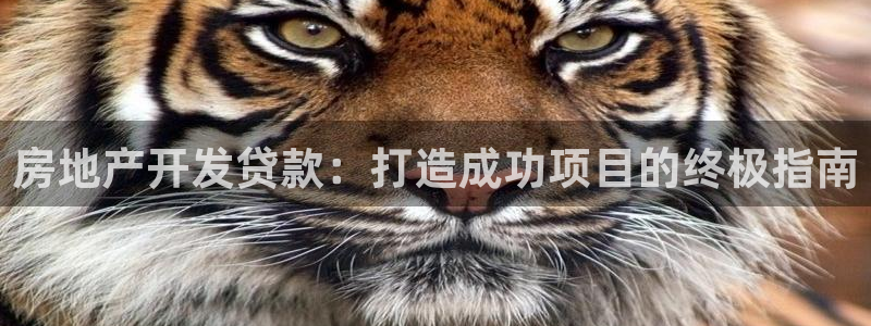 万向娱乐技术分享