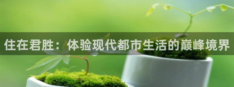 万向娱乐老板
