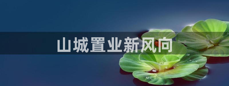 万向娱乐官网下载安装手机版
