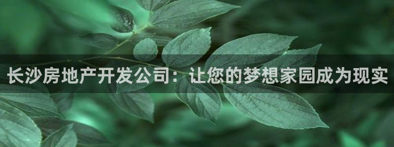 万向娱乐招商