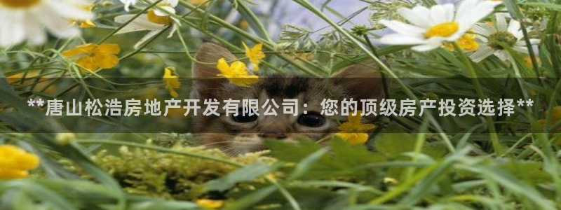 万向娱乐平台怎么下载