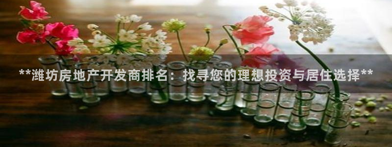 万向娱乐官网下载安装最新版
