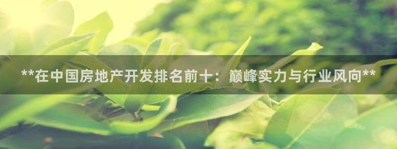 万向娱乐平台好不