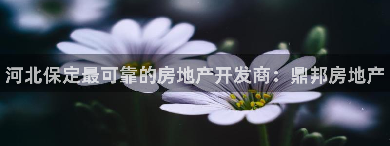 万向娱乐灯333OO