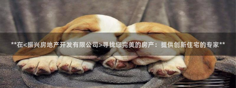 万向娱乐代理好看视频
